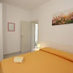 Beautiful With Terrace *